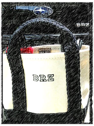 BRZ Bag