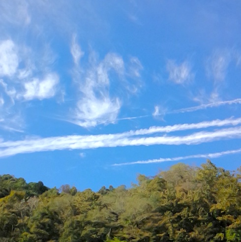 秋空 & pumpkin