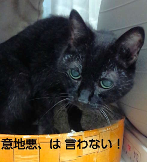 開運の鍵
