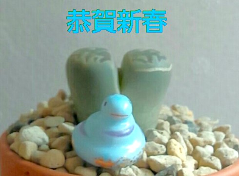 巳年の目標