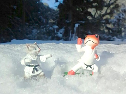 雪の上の空手猫と空手蛙