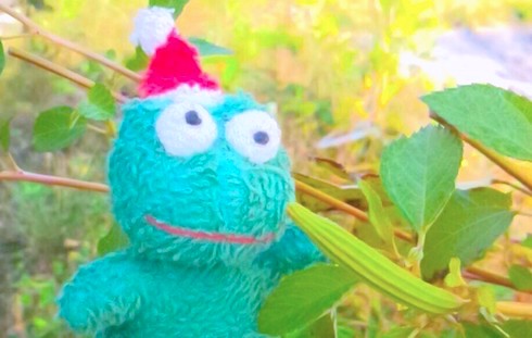 モロヘイヤの種