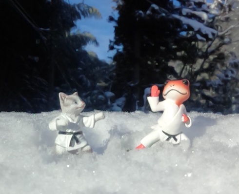 雪の上の猫とカエル