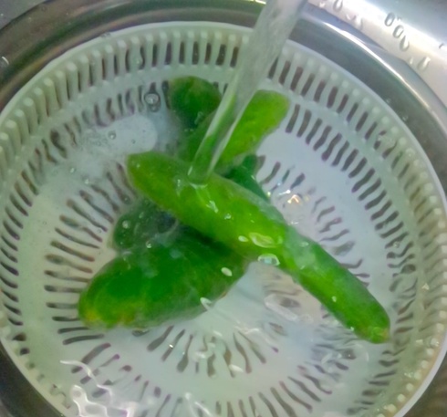 胡瓜