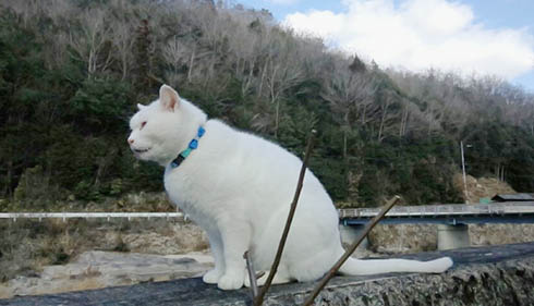 Snowy 元気