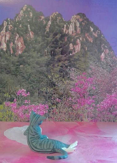 花見