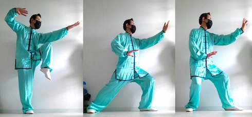 形意拳、太極拳、八卦掌