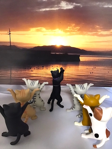 太陽礼拝