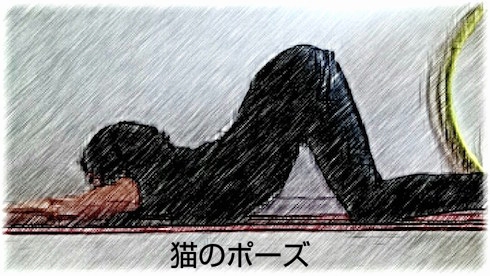 猫ポーズ