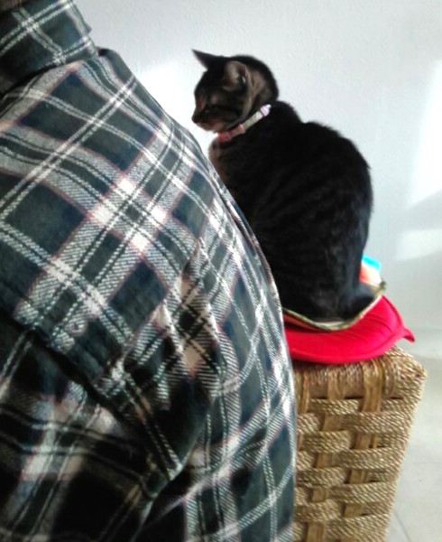猫背